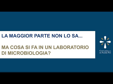 Video: Cosa fanno in un laboratorio di microbiologia?