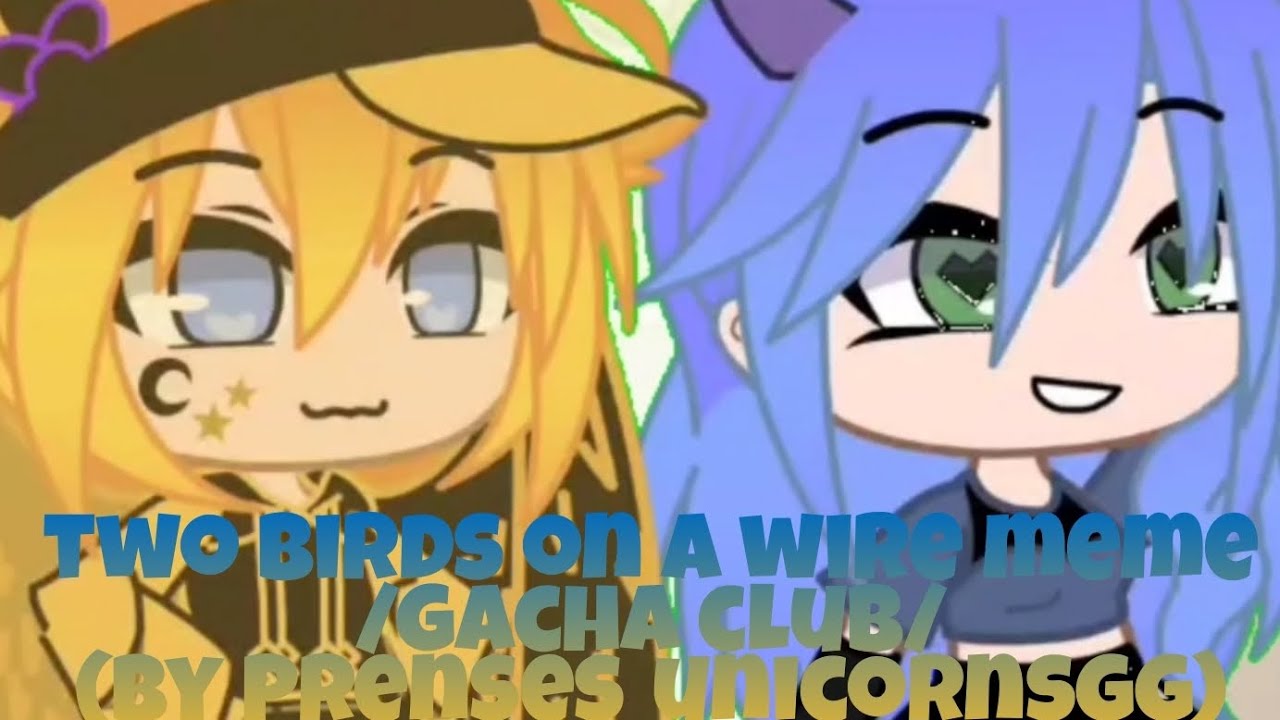 two-birds-on-a-wire-meme-gacha-club-by-prenses-unicornsgg-youtube