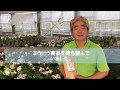 すすみどり紹介動画（農家様の声）
