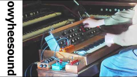 DIY Sequencers and a Minimoog (Music)