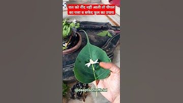 रात को नींद नहीं आती तो पीपल का पत्ता व सफेद फूल का उपाय #pradeepmishra #shiva #om #bholenath #शिव
