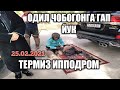 ОДИЛ ЧАВОГОНДАН ТЕРМИЗ ИПОДРОМИДА МАСТЕР КЛАСС.ODIL CHAVOG'ONDAN TERMIZ IPODROMIDA MASTER KLASS.