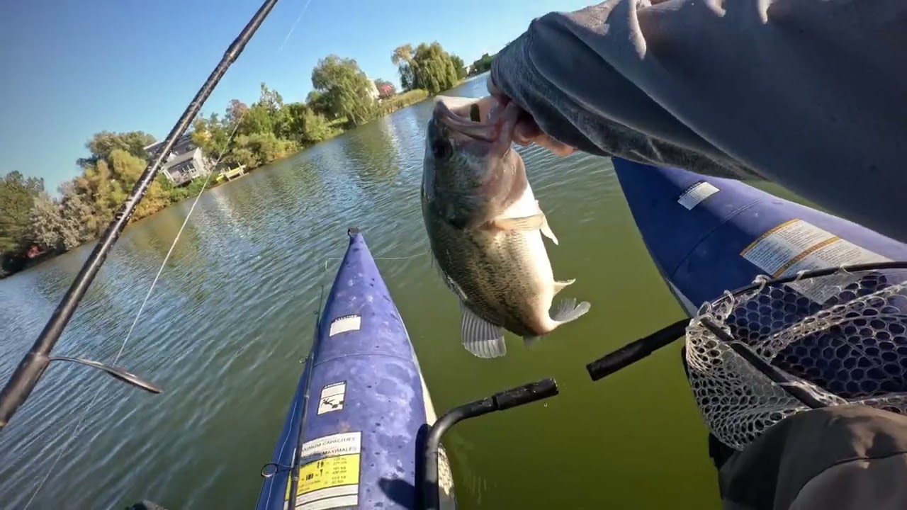 Labor Day weekend Bass Fishing