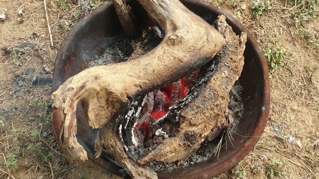 A Winter Day at Aanandaa  Permaculture Farm 2020 [vlog]