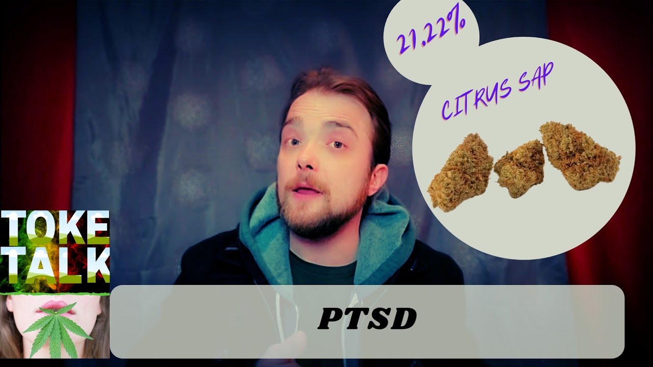 Toke Talk: PTSD w/ Citrus Sap Strain Review