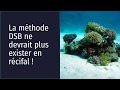 La Méthode DSB Ne Devrait Plus Exister En Récifal mp3