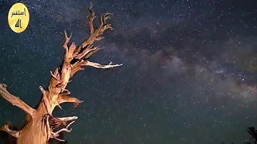 اروع تلاوة سورة يس للقارئ الشيخ احمد سعيد العمراني