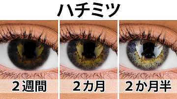 日本人が青い目に最短でなれる方法