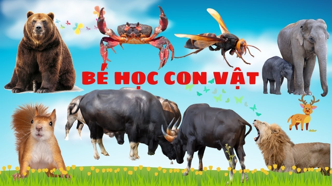 BÉ CÙNG RUBY TV HỌC NÓI TÊN CON VẬT: CON VOI CON, CON BÒ TÓT | HỌC CÙNG ...