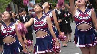 早稲田大学 チアリーダーズ DVD 2枚セット mqdefault.jpg