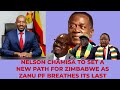 Nelson chamisa to set a new path for zimbabwe as zanu pf breathes its last