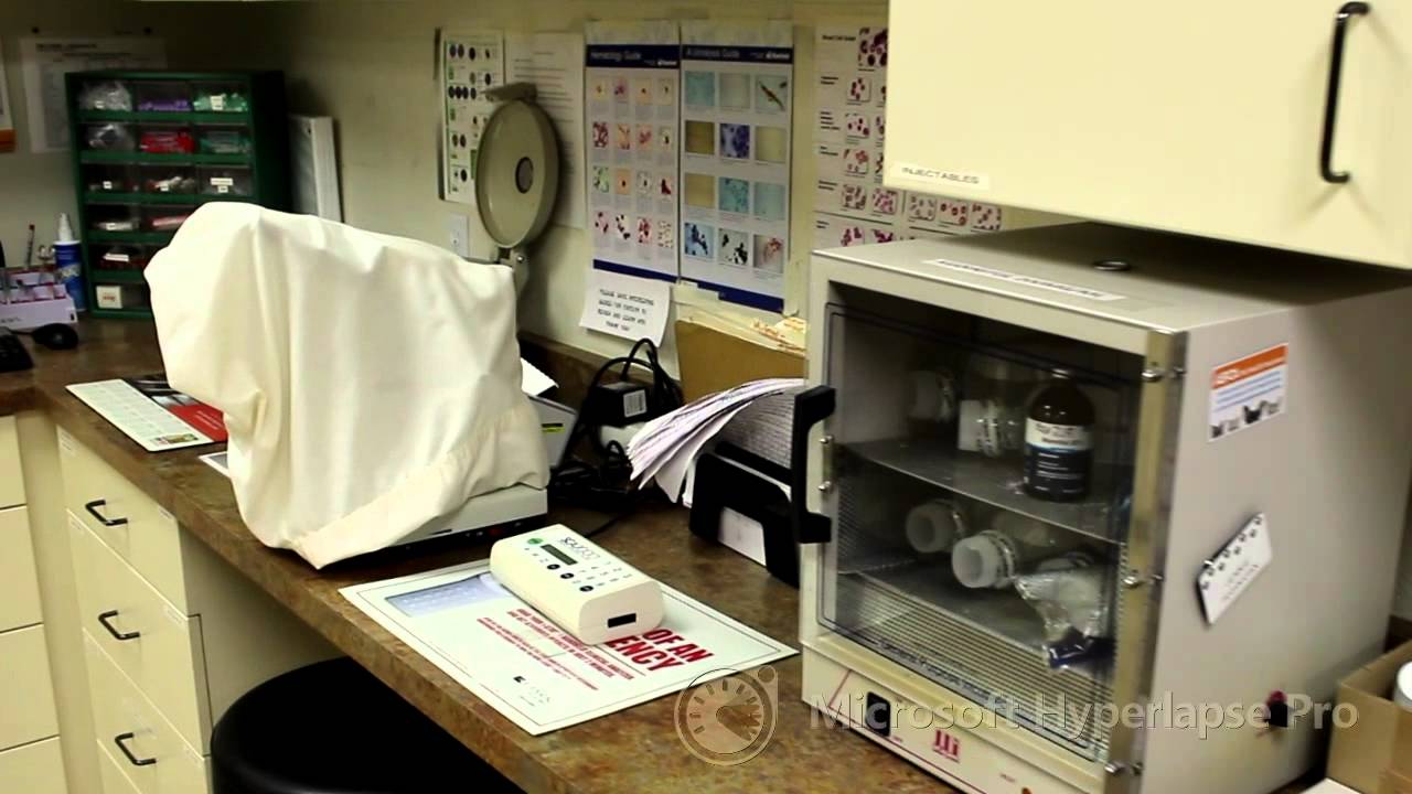 Grand Valley Veterinary Emergency Center Grand Junction, Colorado hyperlapse 4x std YouTube