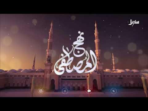 نهج المصطفى الحلقة 17 | عبقرية المحدثين في عملية الانتقاء