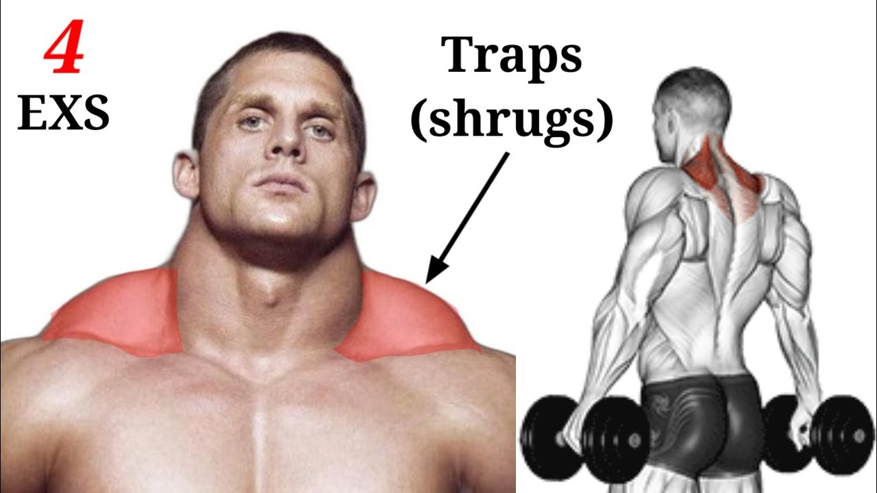 How To Build Bigger Traps traps shrugs workout ( 4 Effective Exercise) YouTube