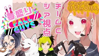 【fall guys　夢盛り杯】こんばんは！私たちふわふわはちみつぱんです！【新人Vtuber/星野シア】