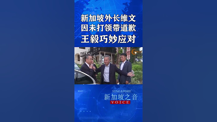 新加坡外长维文因未打领带道歉，王毅巧妙应对。新加坡外交部长维文在植物园的餐馆，为王毅一行设宴款待。王毅下车后，维文首先为自己没有打领带道歉，两人亲切拥抱，王毅也十分随和地拿掉领带赴宴。