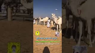 البورصة العالمية مزاد الاذواد