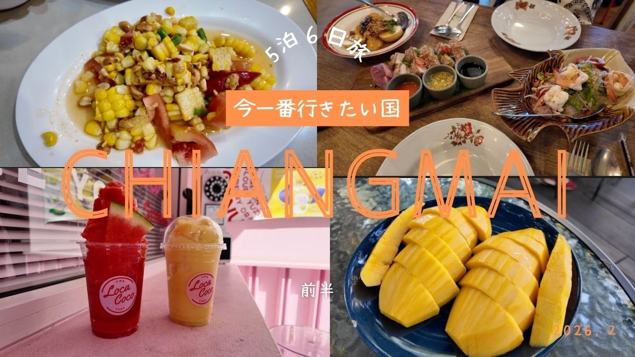 【チェンマイ Vlog】5泊6日の旅｜ニマンヘミン、旧市街、ターペー門周辺グルメ｜ミシュラン取得レストラン、ガイヤーン、カオソーイ｜フルーツスムージー｜Sanae’ Hotel｜最高のゾウ乗り体験｜