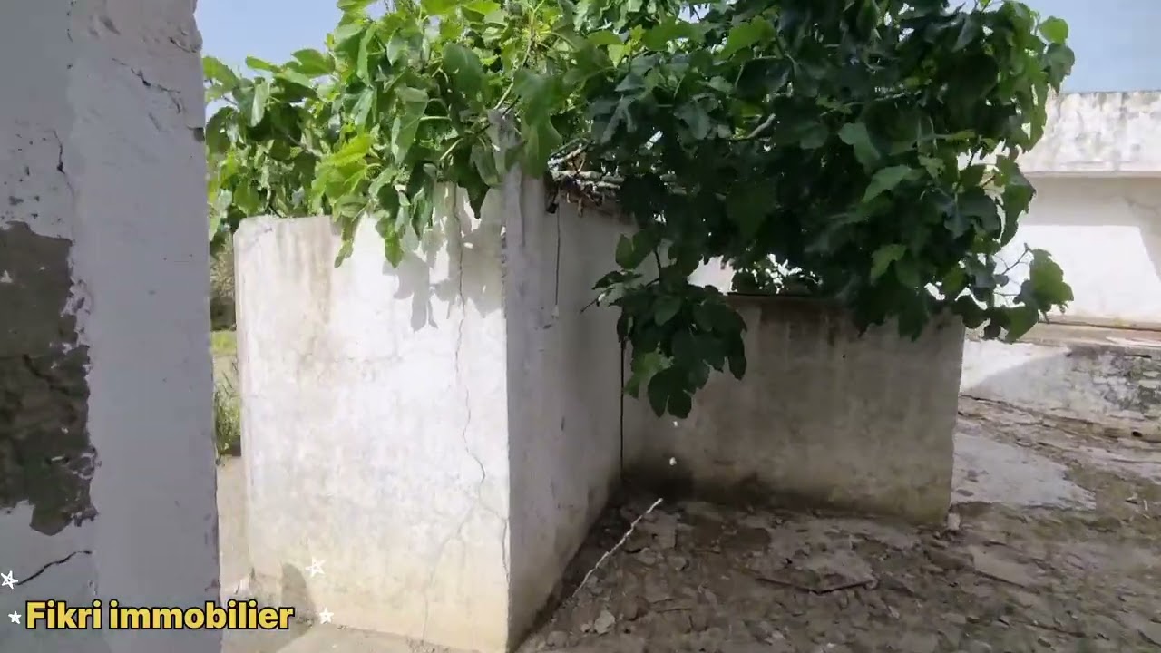 أرض محفظة للبيع طنجة طريق تطوان المساحة 1224 متر