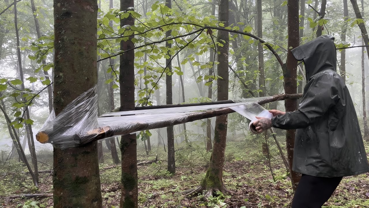 Building a Survival Shelter in The RAIN Forest - Solo Bushcraft ...