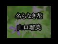 名もなき花 山口瑠美 カラオケ