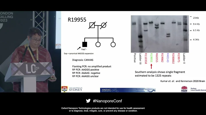 Solving genetically undiagnosed inherited neuropathy families: long-read sequencing to the rescue
