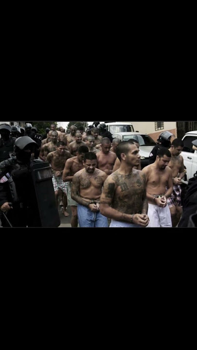 #viral  SHOCKING!! EL SALVADOR PRESIDENT DECLARES WAR ON MS-13 GANG MEMBERS/ARREST 60,000 GANGSTERS