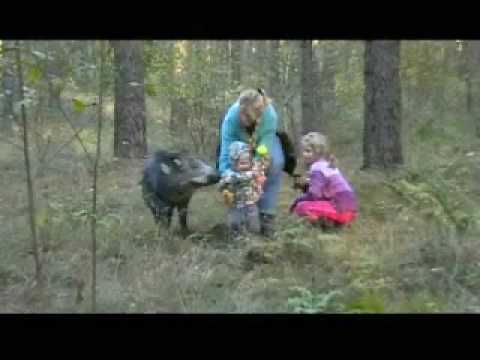 Familienausflug mit Oskar einem Keiler der von Hnd...