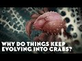 Why Do Things Keep Evolving Into Crabs?