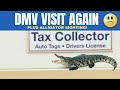 DMV/Tax Collector and Alligator | Tampa Bay Florida