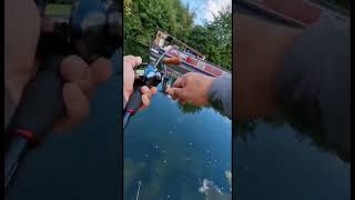 Хорошая поклевка #shorts #fishing #ловитьрыбу #рыбалка #ловлякарпа #рыбалка2022