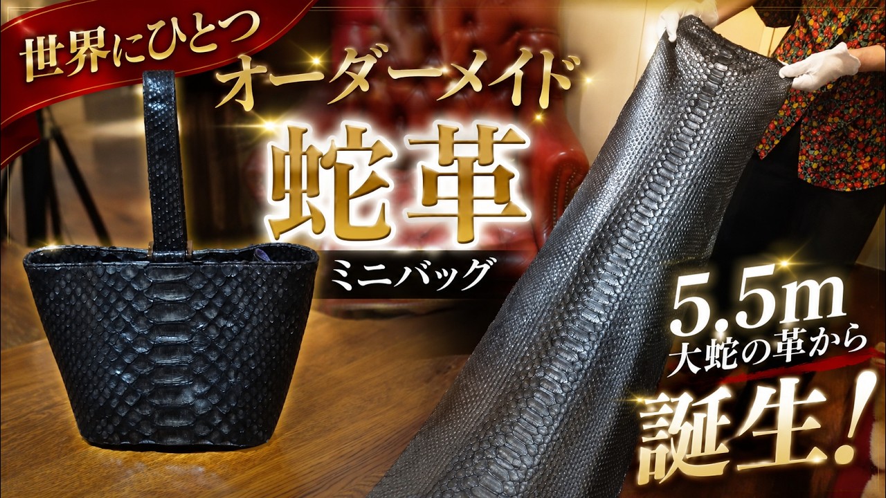 5.5m Giant Python】Crafting a Leather Mini Bag-in-Bag & Pen Case