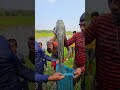 ইডা মহিলা মাছ। #viralvido #fishing #amazing