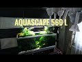 Aquascape 560 L. Природный аквариум от Aquayozh. аквариум Ferplast Star