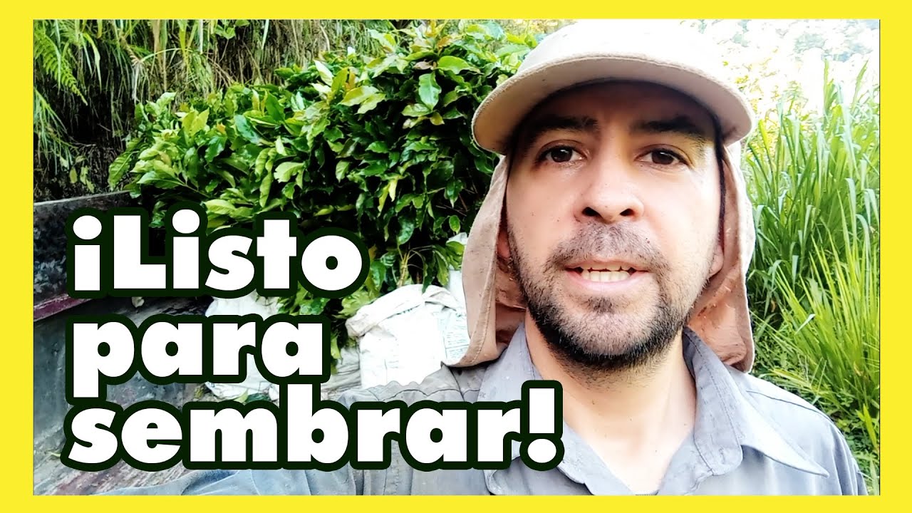 ▶ Esto nos pasó un día sembrando café: Algo raro en la selva?