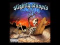 This Joint - Slightly Stoopid