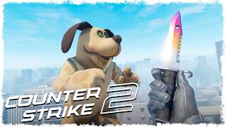 видео: ЛЕВ ТРОЛЛЬ vs ПЁС МАНЬЯК В CS2!!! картинка: ЛЕВ ТРОЛЛЬ vs ПЁС МАНЬЯК В CS2!!!