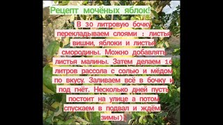 Пошаговый Рецепт От Бабкиных Внуков / Яблоки Мочёные Без Сахара 2020 / Apples Soaked In A Barrel/