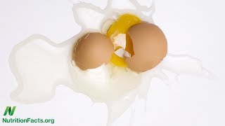 Jak American Egg Board navrhuje zavádějící studie