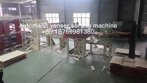 automatic veneer sorting machine work in the plywood factory