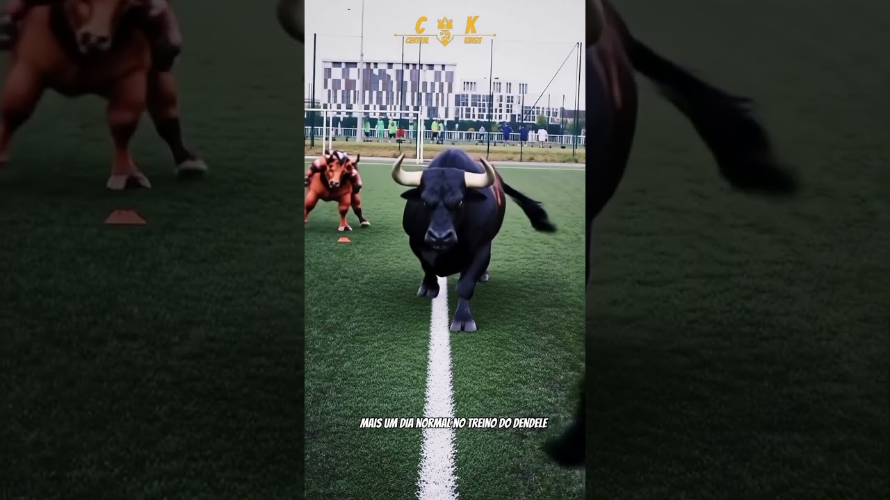 MAIS UM DIA NORMAL NO DENDELE FC 