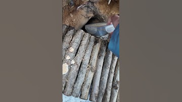 Found a Geocache Hidden in a Stump Behind a Wooden Fence!  #geocaching #geocache #shorts