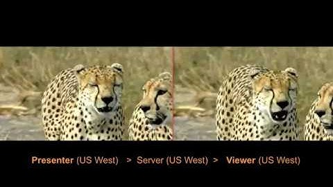 Fastest Speed, Shortest Delay, Best Image - R-HUB Web Conferencing Solutions