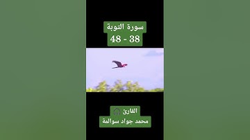 سورة التوبة 38-48 : القارئ/محمد جواد سوالمة