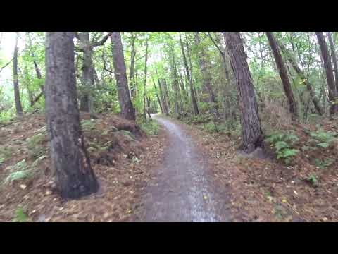 Terschelling. Fietsen 10 oktober 2020. B