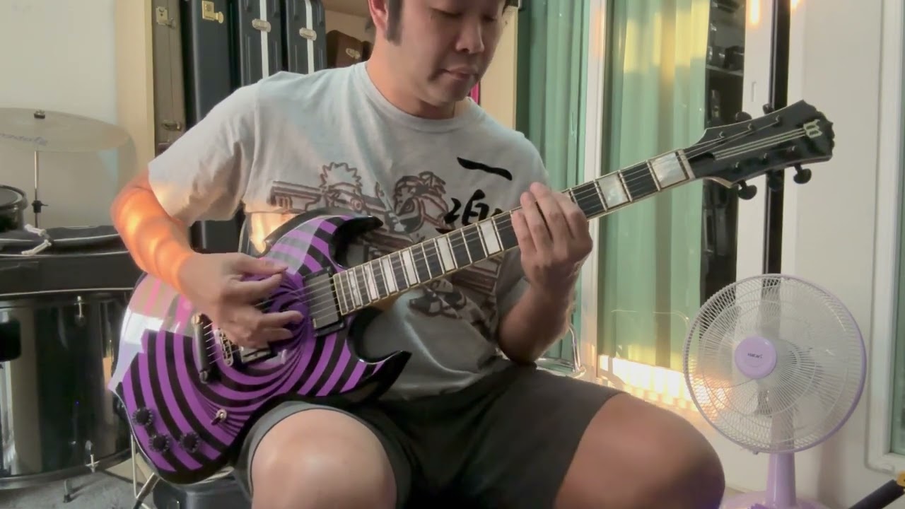 Black Label Society : Trampled Down Below (Cover) by Zakkyos