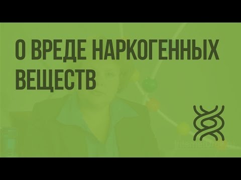 О вреде наркогенных веществ. Видеоурок по биологии 8 класс