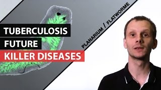KILLER DISEASES | Tuberculosis in the Future