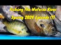 Fishing the wateree river 2024 episode 1 the fish are biting