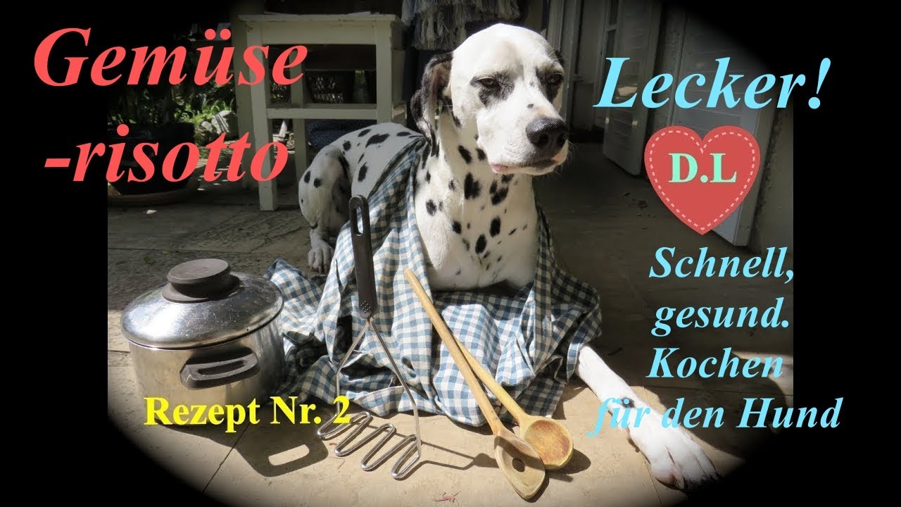 Kochen fr den Hund.Hundefutter selber machen.Gemserisotto.Rezept Nr.2.